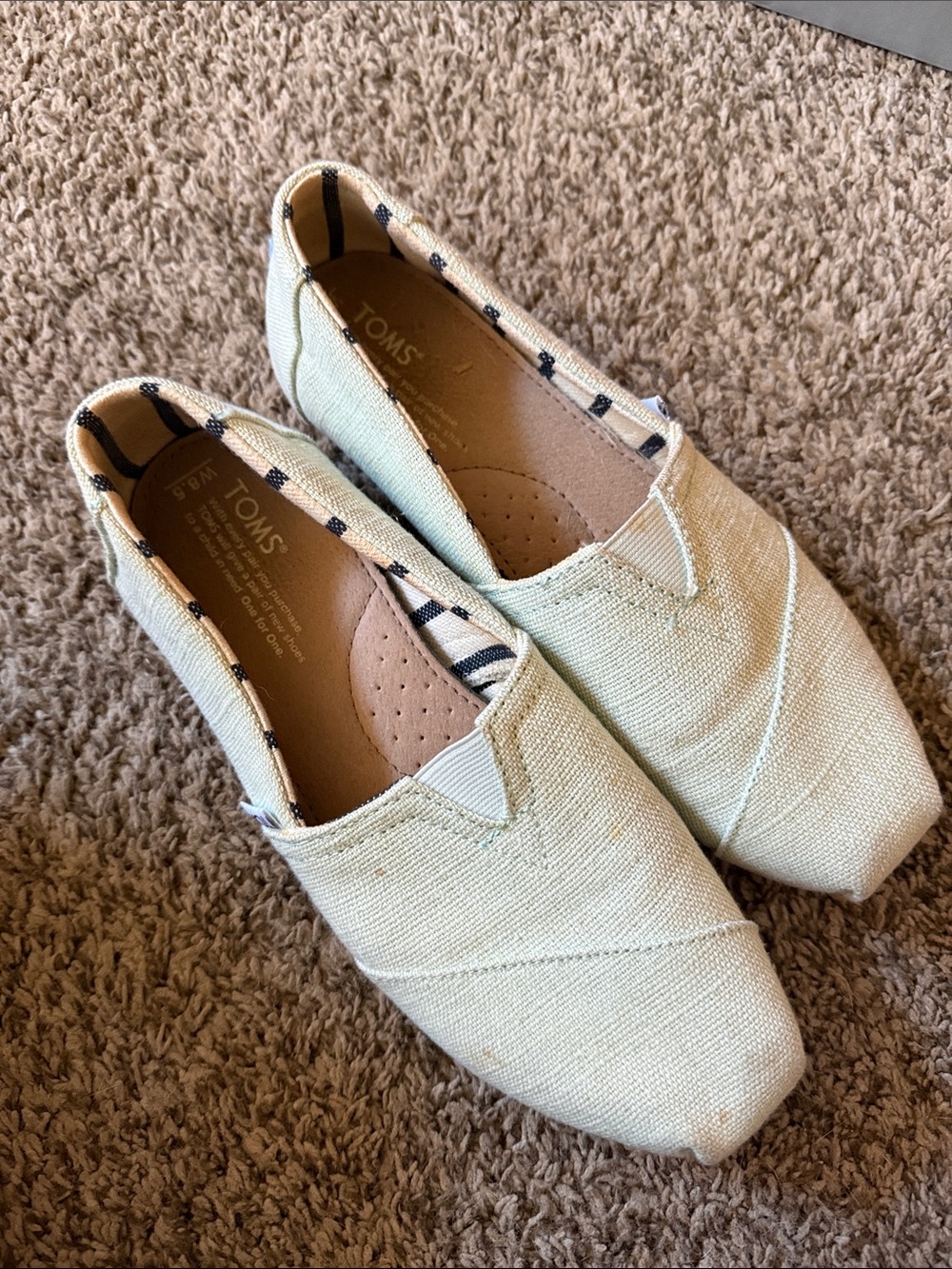 TOMS Women’s Alpargata Slip-On Casual Shoe in Light mint